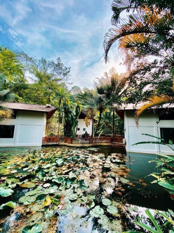 Bidaisari Resort Бентонг Екстериор снимка